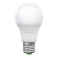 LED Polttimo ECOLINE A60 E27/15W/230V 3000K - Brilagi