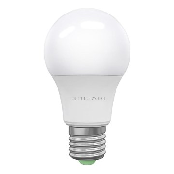 LED Polttimo ECOLINE A60 E27/15W/230V 6500K - Brilagi