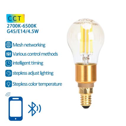 Himmennettävä LED-polttimo FILAMENT MESH Älykäs G45 E14/4,5W/230V 2700-6500K - Aigostar