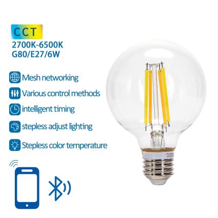 Himmennettävä LED-polttimo FILAMENT MESH Älykäs G80 E27/6W/230V 2700-6500K - Aigostar