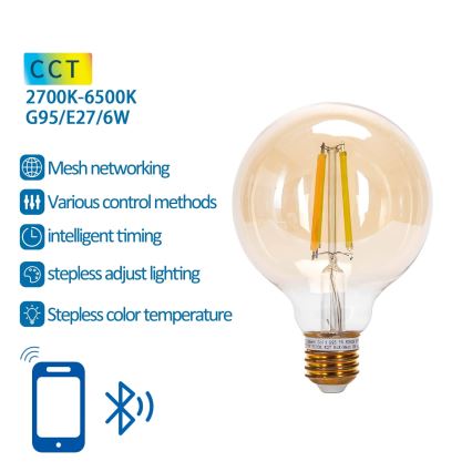 Himmennettävä LED-polttimo FILAMENT MESH Älykäs G95 E27/6W/230V 2700-6500K - Aigostar