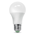 LED-polttimo hämäräsensori ECOLINE A60 E27/9W/230V 3000K -  Brilagi