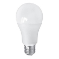 LED-polttimo PITT A60 AC/DC E27/12W/24V 4000K