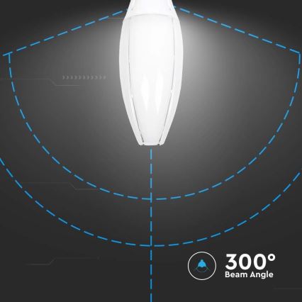 LED-polttimo SAMSUNG CHIP E40/60W/230V 6500K
