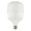 LED-polttimo T100 E27/30W/230V 6500K