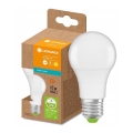 LED Polttimo valmistettu kierrätysmuovista E27/10W/230V 2700K - Ledvance