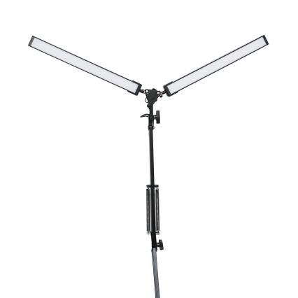 LED-pöytälamppu pidikkeellä 2xLED/10W/230V 2800-6800K