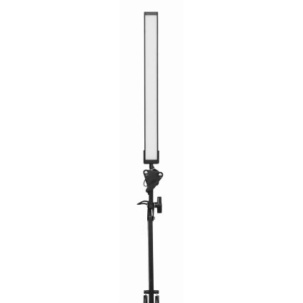 LED-pöytälamppu pidikkeellä LED/10W/230V 2800-6800K