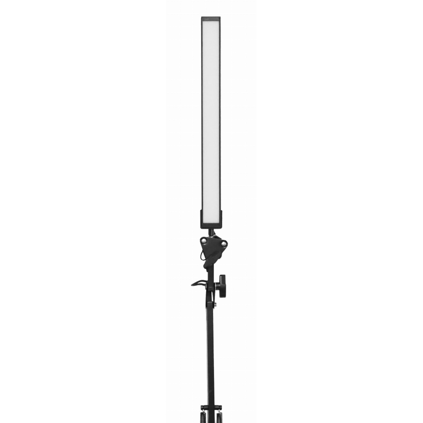 LED-pöytälamppu pidikkeellä LED/10W/230V 2800-6800K
