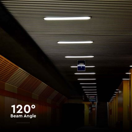 LED-putkityövalo LED/18W/230V 4000K IP65 60 cm