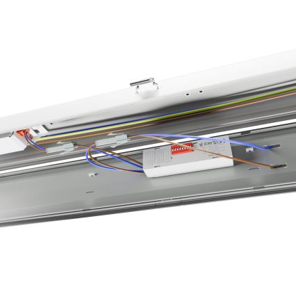 LED-putkityövalo LIMEA GIGANT PRO LED/20/26/33/40W/230V 6000K IK10 IP66 120 cm
