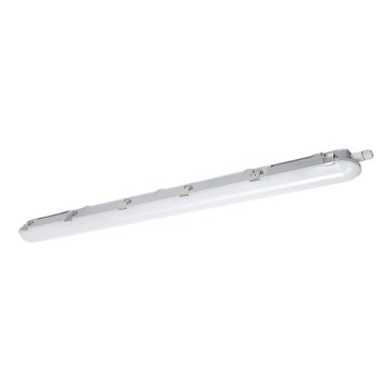 LED-putkityövalo NEXFORCE LED/36W/230V 4000K IP66