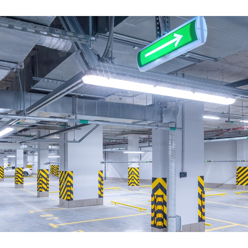 LED-putkityövalo NEXFORCE LED/36W/230V 4000K IP66