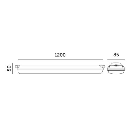 LED-putkityövalo NEXFORCE LED/36W/230V 4000K IP66