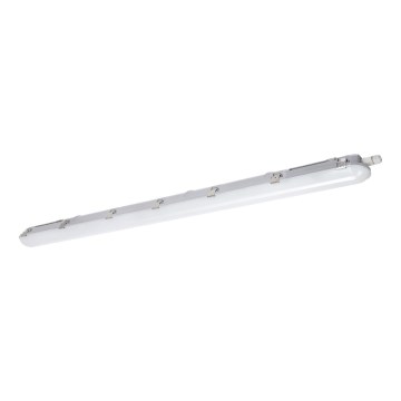 LED-putkityövalo NEXFORCE LED/52W/230V IP66 4000K