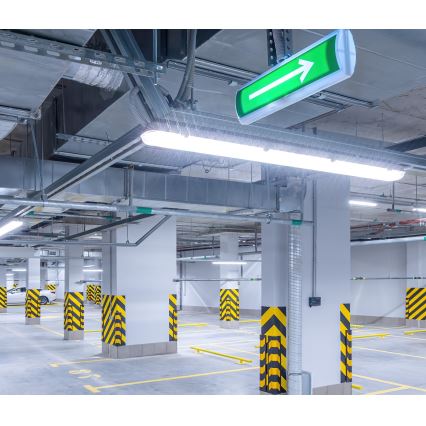 LED-putkityövalo NEXFORCE LED/52W/230V IP66 4000K