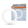 LED-putkivalo G10q/11W/230V 4000K - Osram