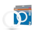 LED-putkivalo G10q/11W/230V 6500K - Osram