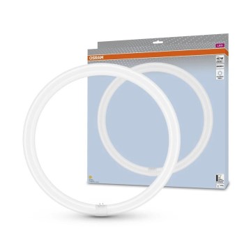 LED-putkivalo G10q/24W/230V 4000K - Osram
