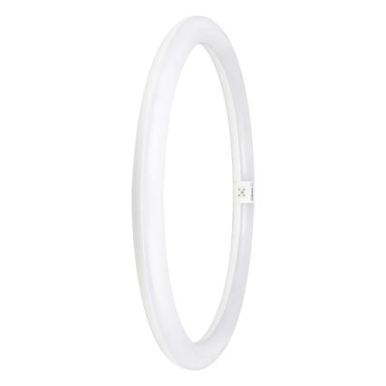 LED-putkivalo G10q/24W/230V 6500K - Osram