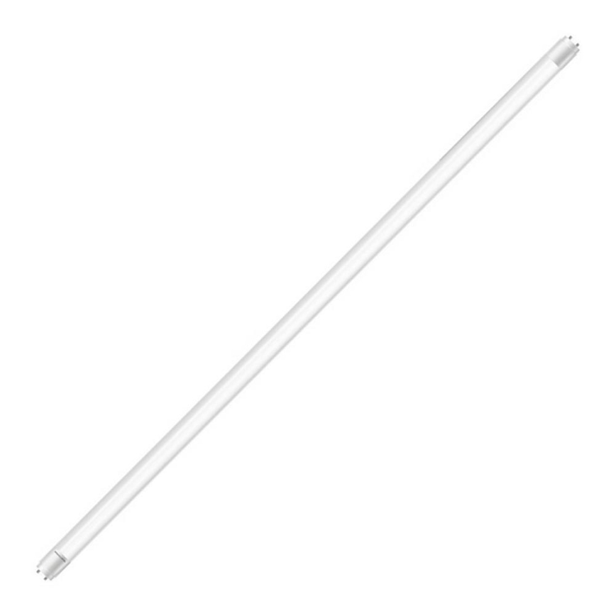 LED-putkivalo Philips G13/20W/230V 4000K