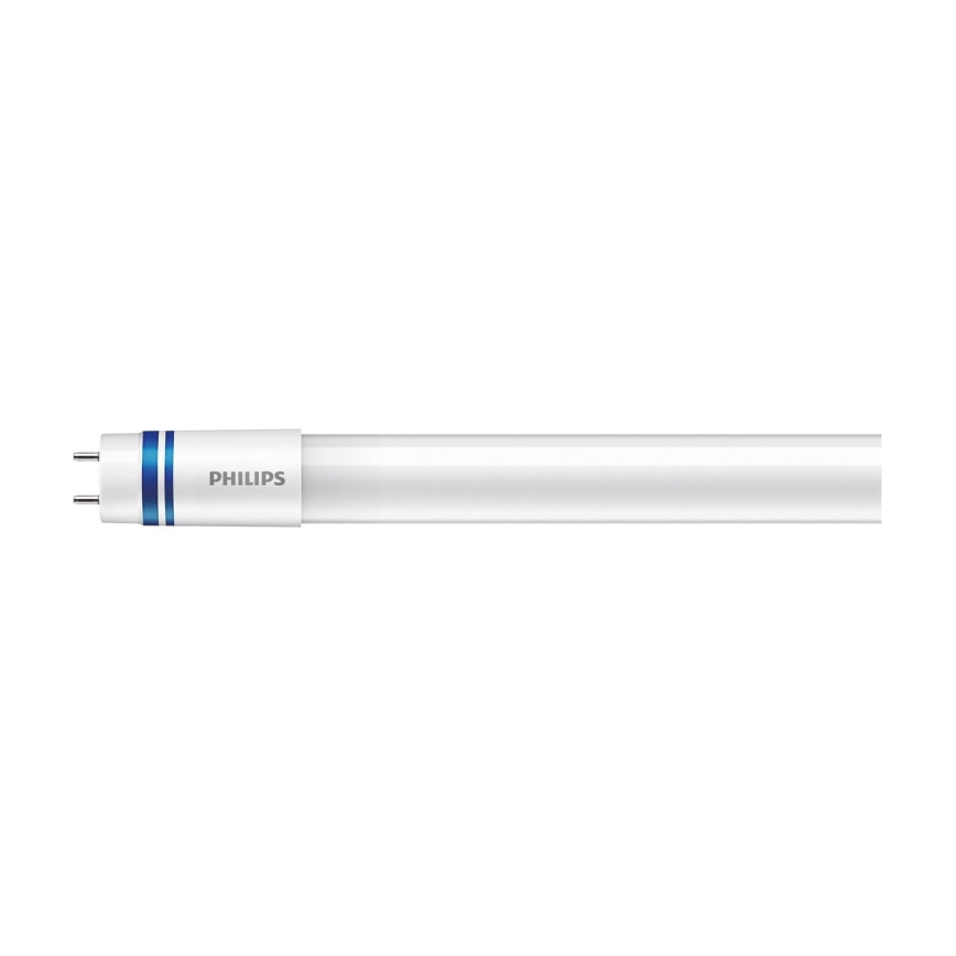 LED-putkivalo Philips MASTER T8 G13/21,5W/230V 6500K 120 cm