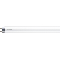 LED-putkivalo Philips MASTER T8 G13/6W/110V 4000K 45 cm