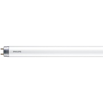 LED-putkivalo Philips MASTER T8 G13/6W/110V 4000K 45 cm