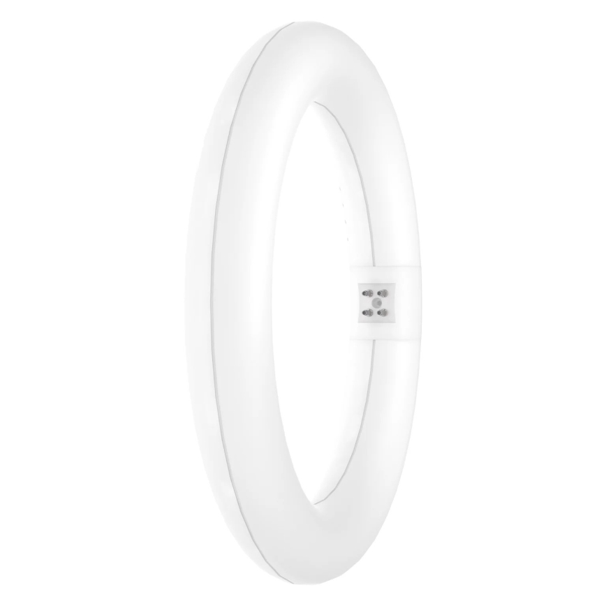 LED-putkivalo SUBSTITUBE T9 G10q/12W/230V 4000K halkaisija 21,2 cm - Osram
