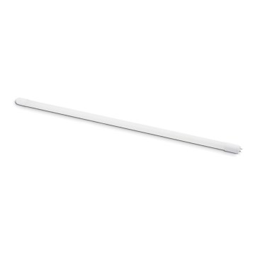 LED-putkivalo T8 G13/18W/230V 4000K 120 cm