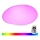 LED RGB Himmennettävä ulkovalaisin LED / 1W / 230V 28cm IP67 + RC