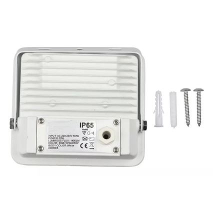 LED RGB Valonheitin LED/20W/230V IP65 valkoinen