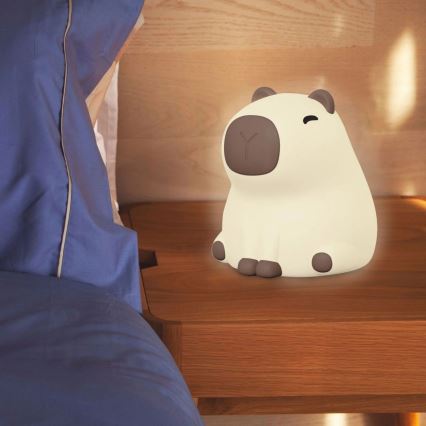 LED RGBW Himmennettävä lasten kosketus lamppu LED/1W/5V USB 1200 mAh vesisika