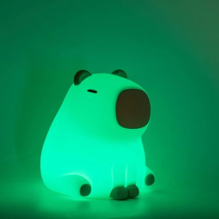 LED RGBW Himmennettävä lasten kosketus lamppu LED/1W/5V USB 1200 mAh vesisika