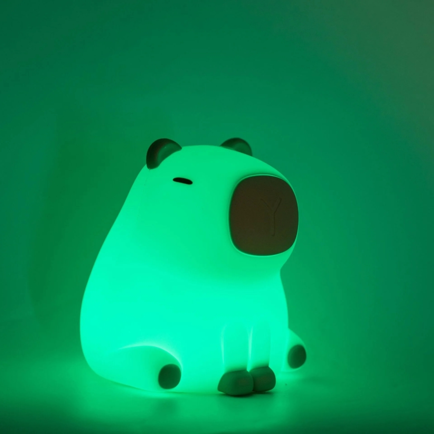 LED RGBW Himmennettävä lasten kosketus lamppu LED/1W/5V USB 1200 mAh vesisika