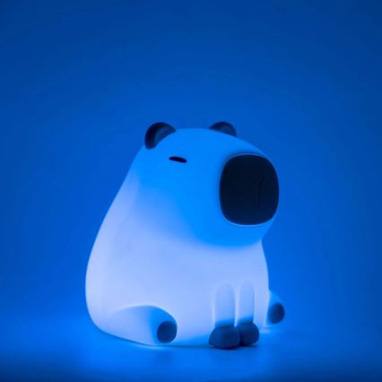 LED RGBW Himmennettävä lasten kosketus lamppu LED/1W/5V USB 1200 mAh vesisika