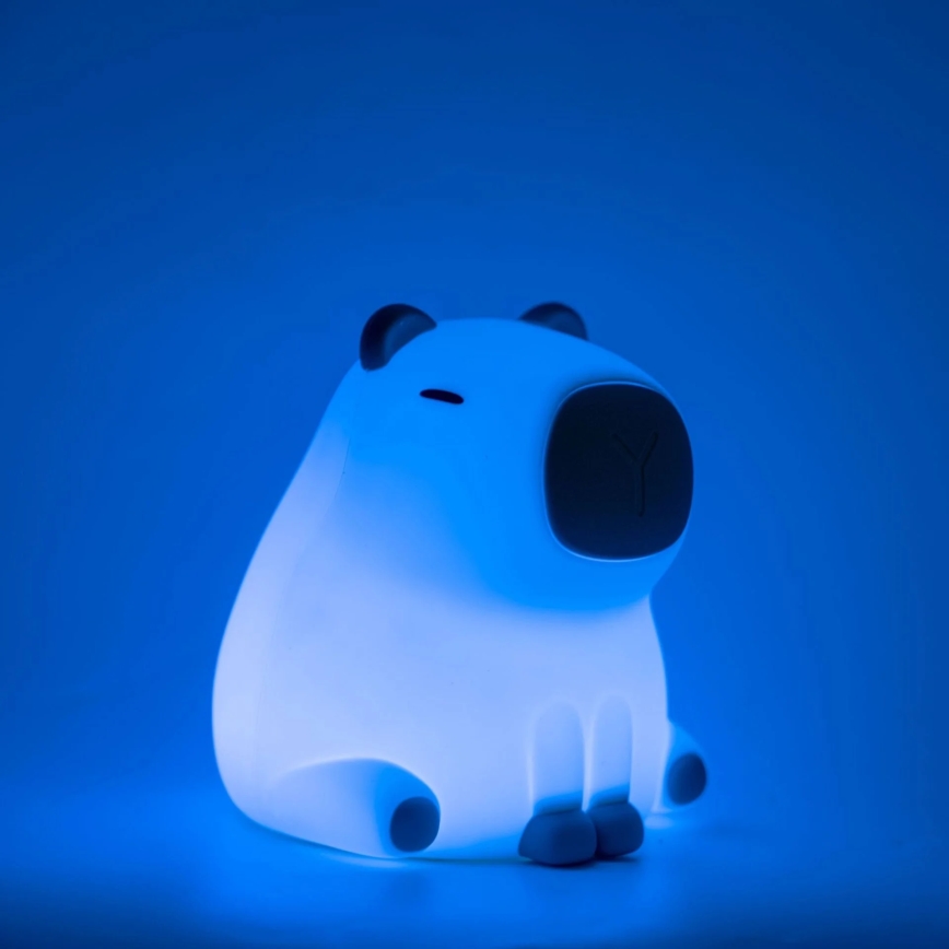 LED RGBW Himmennettävä lasten kosketus lamppu LED/1W/5V USB 1200 mAh vesisika