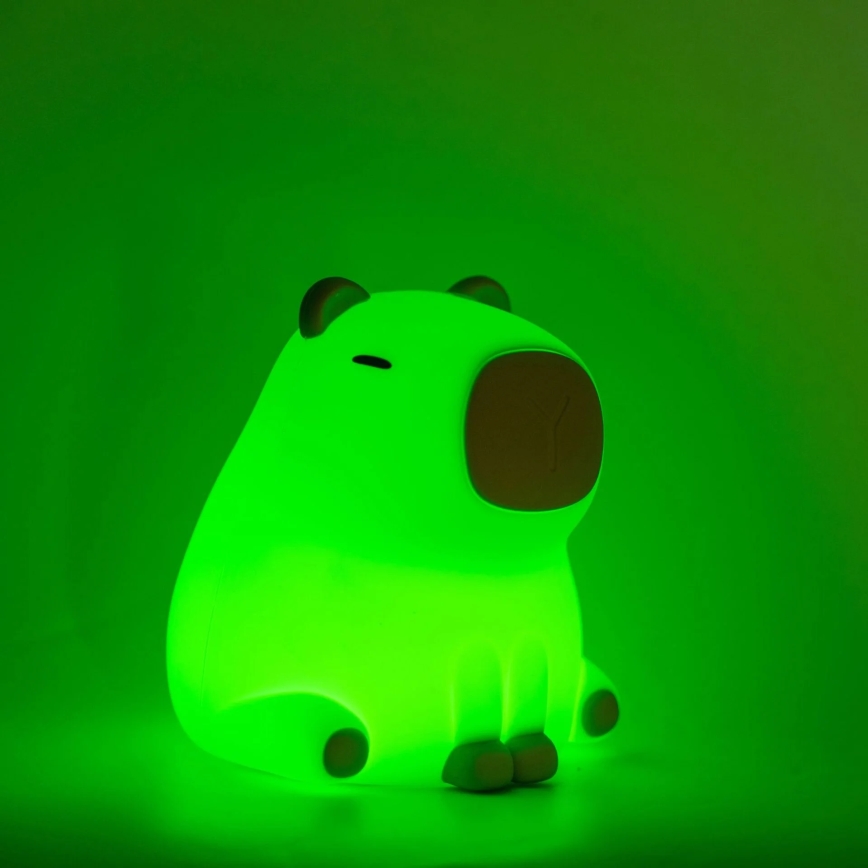LED RGBW Himmennettävä lasten kosketus lamppu LED/1W/5V USB 1200 mAh vesisika