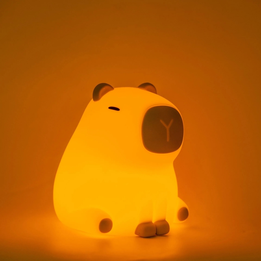 LED RGBW Himmennettävä lasten kosketus lamppu LED/1W/5V USB 1200 mAh vesisika