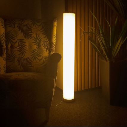 LED RGBW Himmennettävä lattiavalaisin STELLA LED/12W/230V + kauko-ohjaus