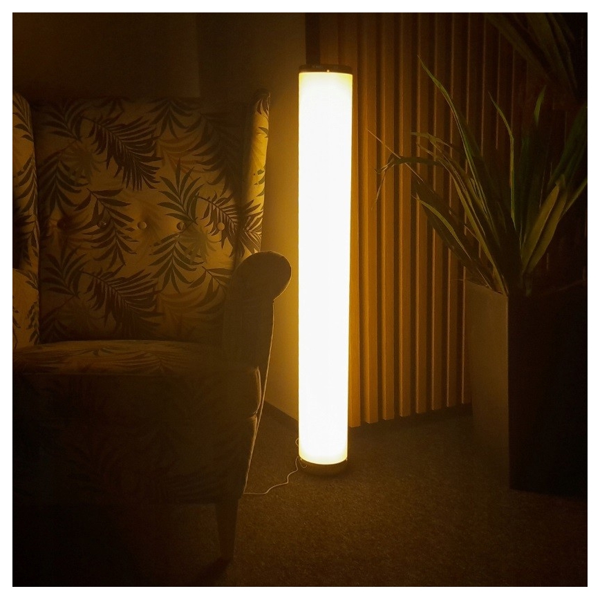 LED RGBW Himmennettävä lattiavalaisin STELLA LED/12W/230V + kauko-ohjaus