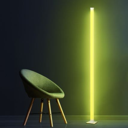 LED RGBW Himmennettävä lattiavalaisin MAGICAL LED/7W/230V + kauko-ohjaus