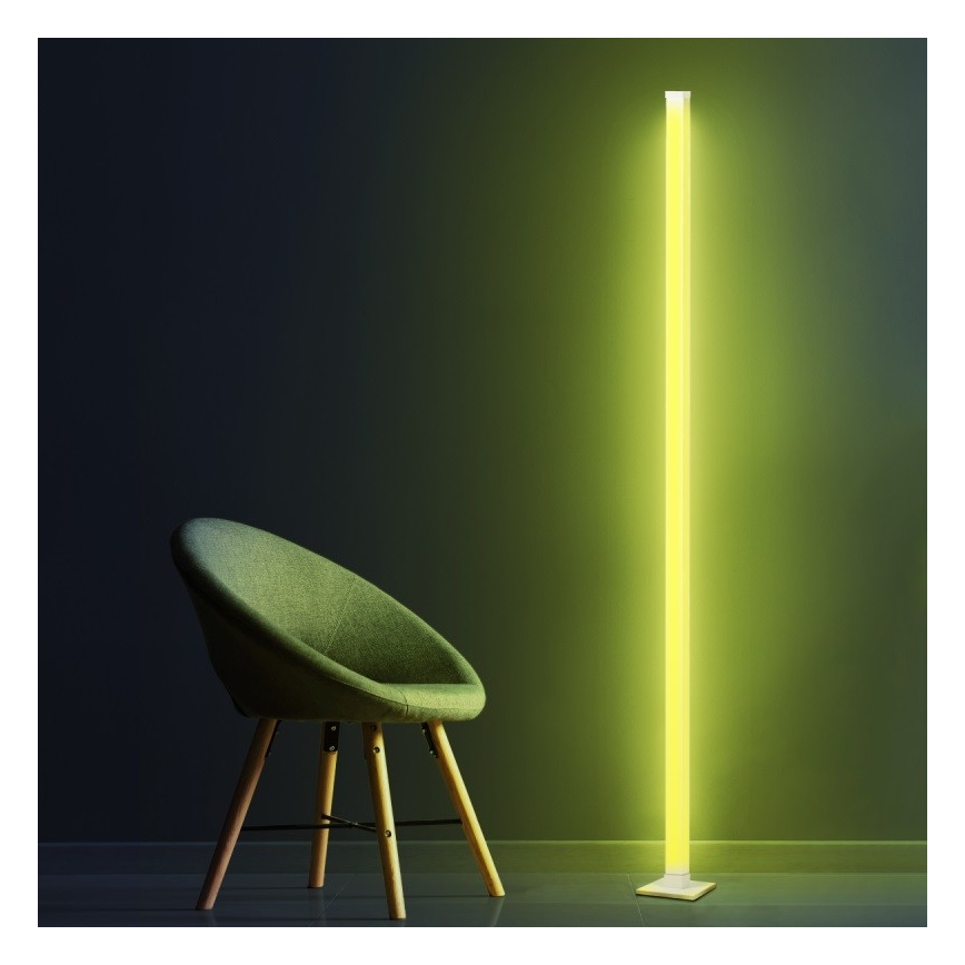 LED RGBW Himmennettävä lattiavalaisin MAGICAL LED/7W/230V + kauko-ohjaus