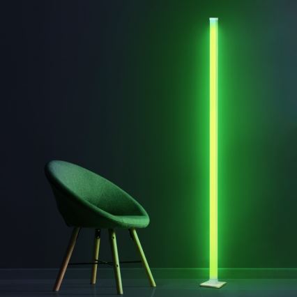 LED RGBW Himmennettävä lattiavalaisin MAGICAL LED/7W/230V + kauko-ohjaus