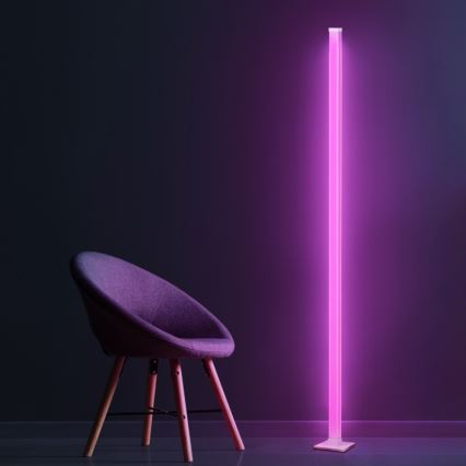LED RGBW Himmennettävä lattiavalaisin MAGICAL LED/7W/230V + kauko-ohjaus