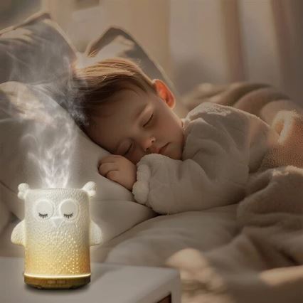 LED RGBW Tuoksudiffuuseri LED/8W/230V 100 ml pöllö