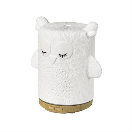 LED RGBW Tuoksudiffuuseri LED/8W/230V 100 ml pöllö