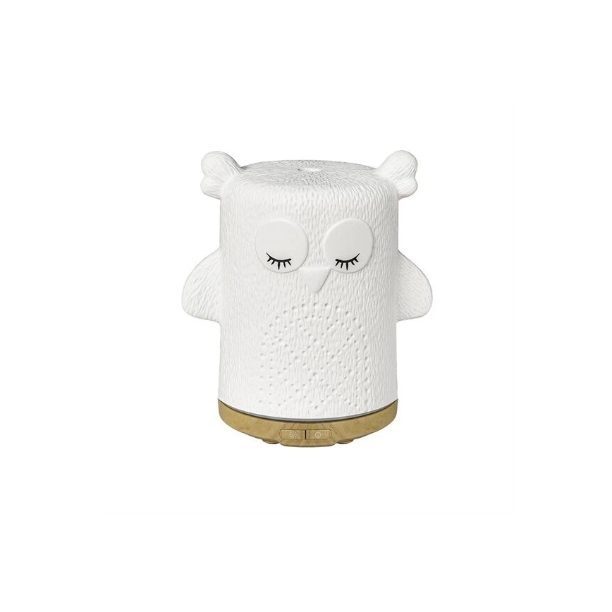 LED RGBW Tuoksudiffuuseri LED/8W/230V 100 ml pöllö