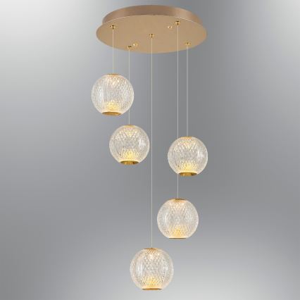 LED Riippuvalaisin CREMONA 5xLED/5W/230V 3000K kultainen