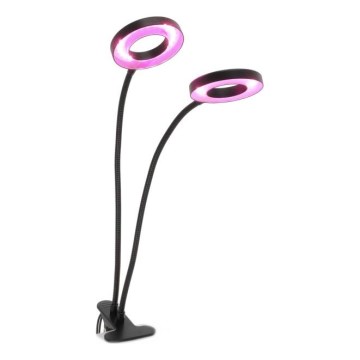 LED-säädettävä joustava pöytävalaisin kasvien kasvatukseen, klipsillä VITARO 2xLED/4W/230V musta
